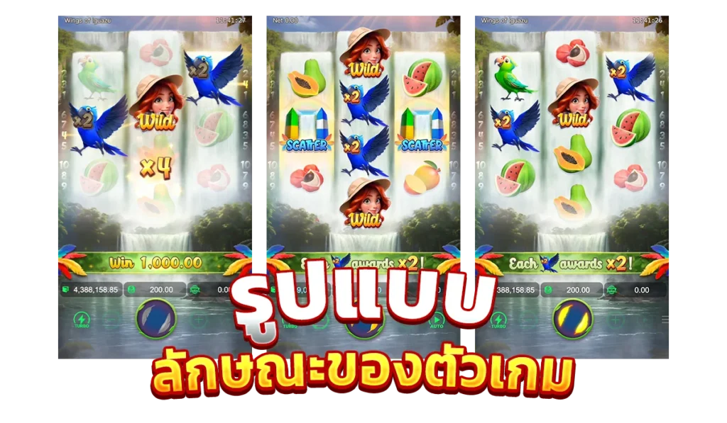 รูปแบบลักษณะของตัวเกม Wings of lguazu